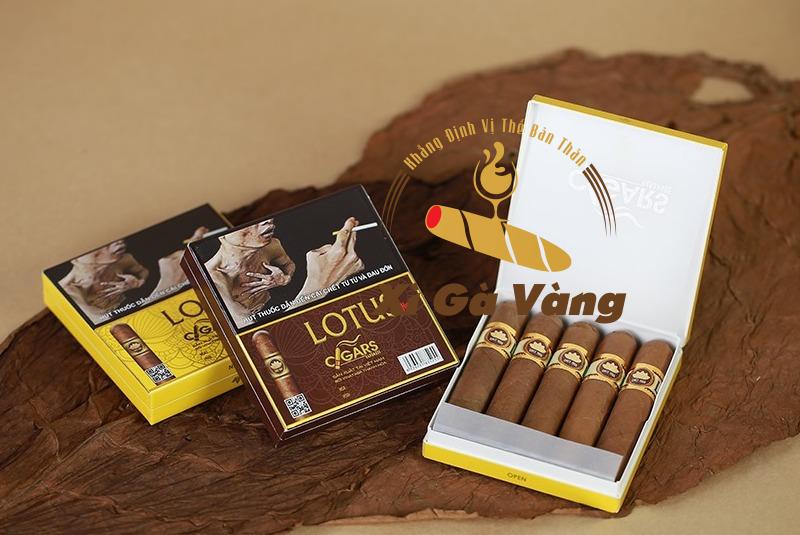 Hộp xì gà Lotus - No1 sang trọng